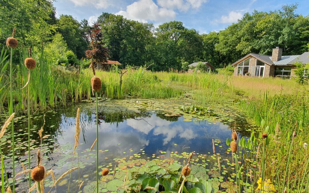 Onderhoud landelijke tuin